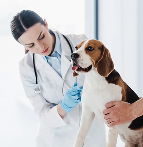 Karaköprü Veteriner